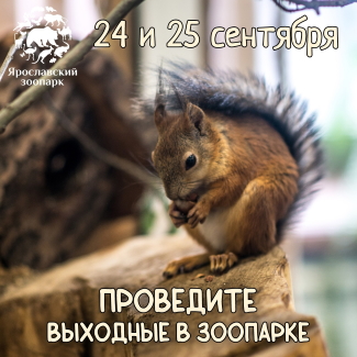 Ярославский зоопарк приглашает... Ярославский зоопарк приглашает...