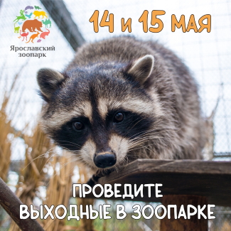 Ярославский зоопарк приглашает... Ярославский зоопарк приглашает...