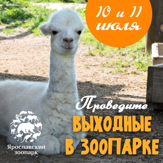 Ярославский зоопарк приглашает... Ярославский зоопарк приглашает...