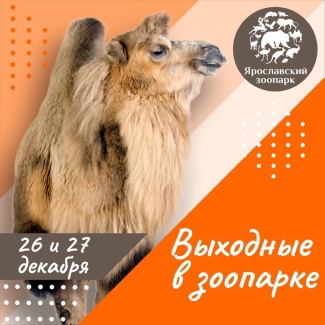 Ярославский зоопарк приглашает... Ярославский зоопарк приглашает...