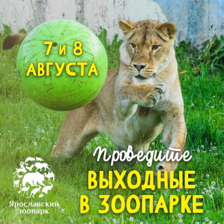 Ярославский зоопарк приглашает... Ярославский зоопарк приглашает...