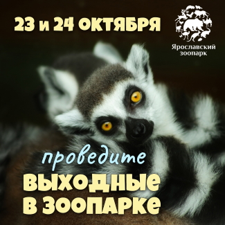 Ярославский зоопарк приглашает... Ярославский зоопарк приглашает...