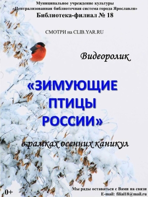 Видеоролик «Зимующие птицы России» Видеоролик «Зимующие птицы России»