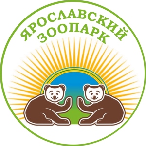 Подарок горожанам в День города Подарок горожанам в День города