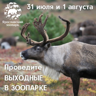 Ярославский зоопарк приглашает... Ярославский зоопарк приглашает...