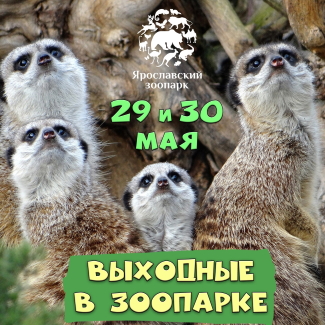 Ярославский зоопарк приглашает... Ярославский зоопарк приглашает...