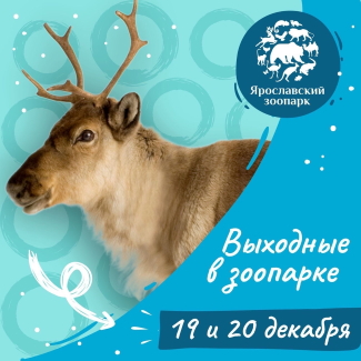 Ярославский зоопарк приглашает... Ярославский зоопарк приглашает...